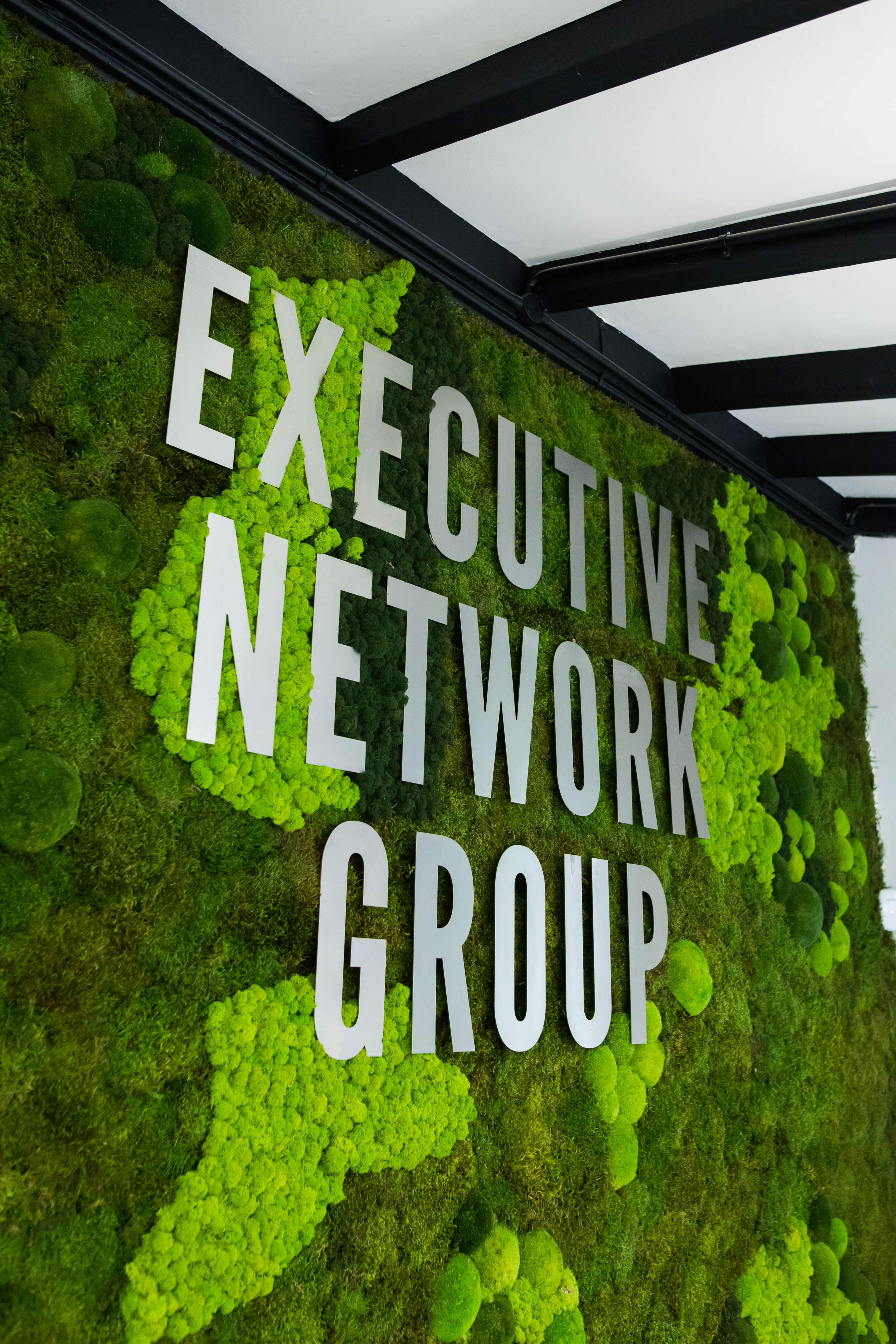 Executive Network Group